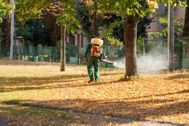 Best Exterminator Services  in Terrell, TX