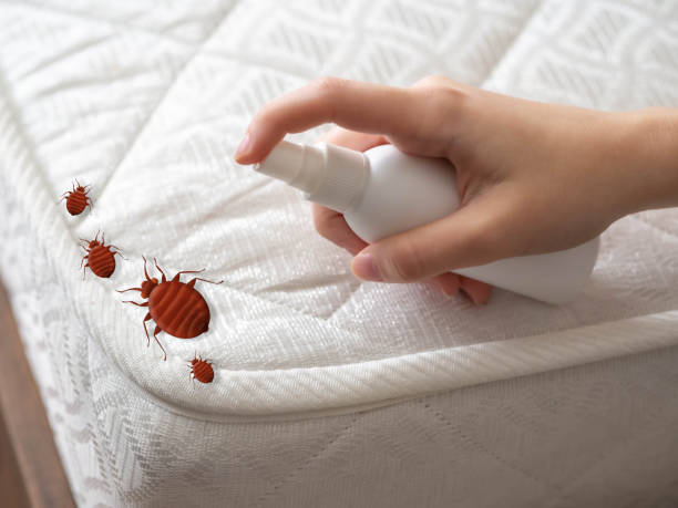 Best Commercial Pest Control Services  in Terrell, TX