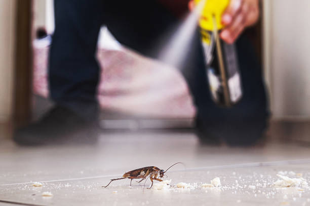 Pest Control for Restaurants in Terrell, TX