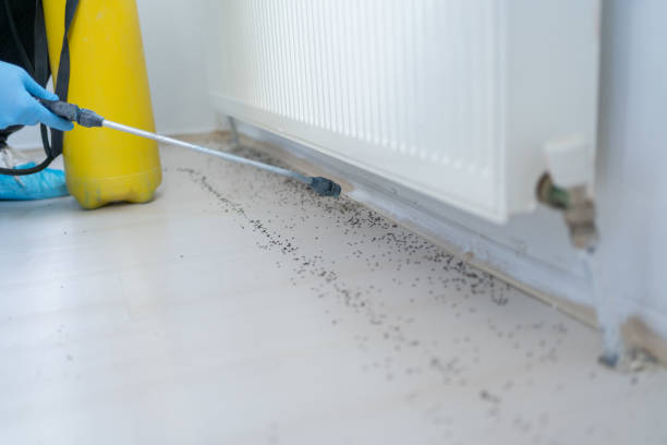 Best Pest Inspection Near Me  in Terrell, TX